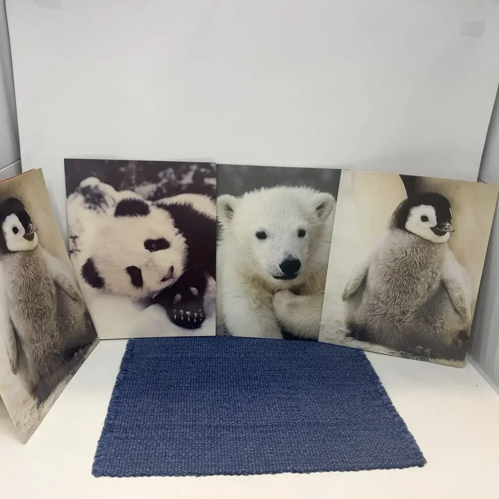 4 Vintage 80's MEAD Zoo Portfolio Pocket Folders Baby Animals LOT Retro Cute
